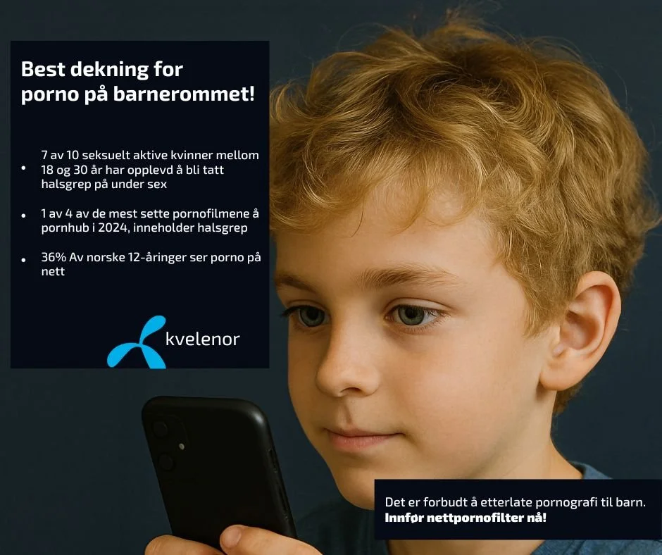 Straffeloven &sect;317 c. gj&oslash;r det forbudt &aring; overlate pornografi til barn.
Hold nettleverand&oslash;rene ansvarlige: Innf&oslash;r nettpornofilter n&aring;!