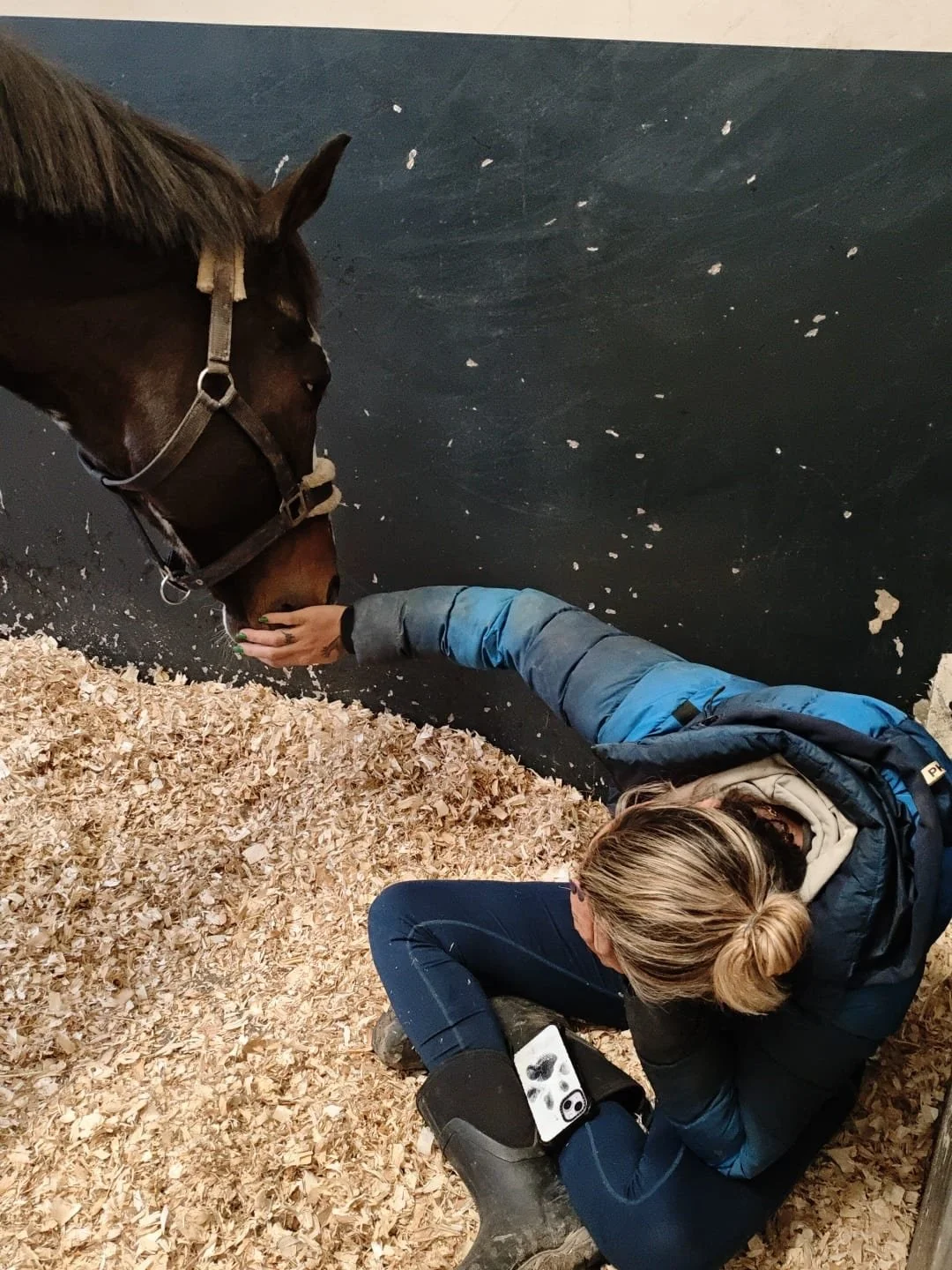 Mijn allerliefste Impress ✨

Helaas eindigt ons verhaal hier&hellip; 
Vanmorgen troffen we hem aan met koliek en heeft hij het niet gered 🖤