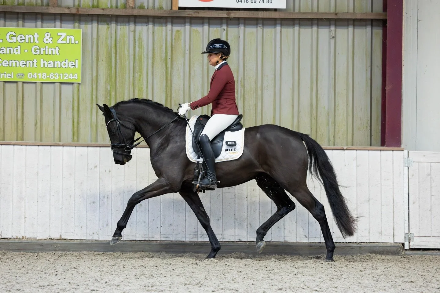 🖤 Sandstorm 🖤

McLaren x pref pres prok v. Jazz x ster v. Ulft
2022, ruin, 1.60 

🌱: @heltiehorse &amp; @florianhorsefood 

#equestrian #horse #horses #horsesofinstagram #equestrianlife #equine #horseriding #dressage #showjumping #pony #equestrian