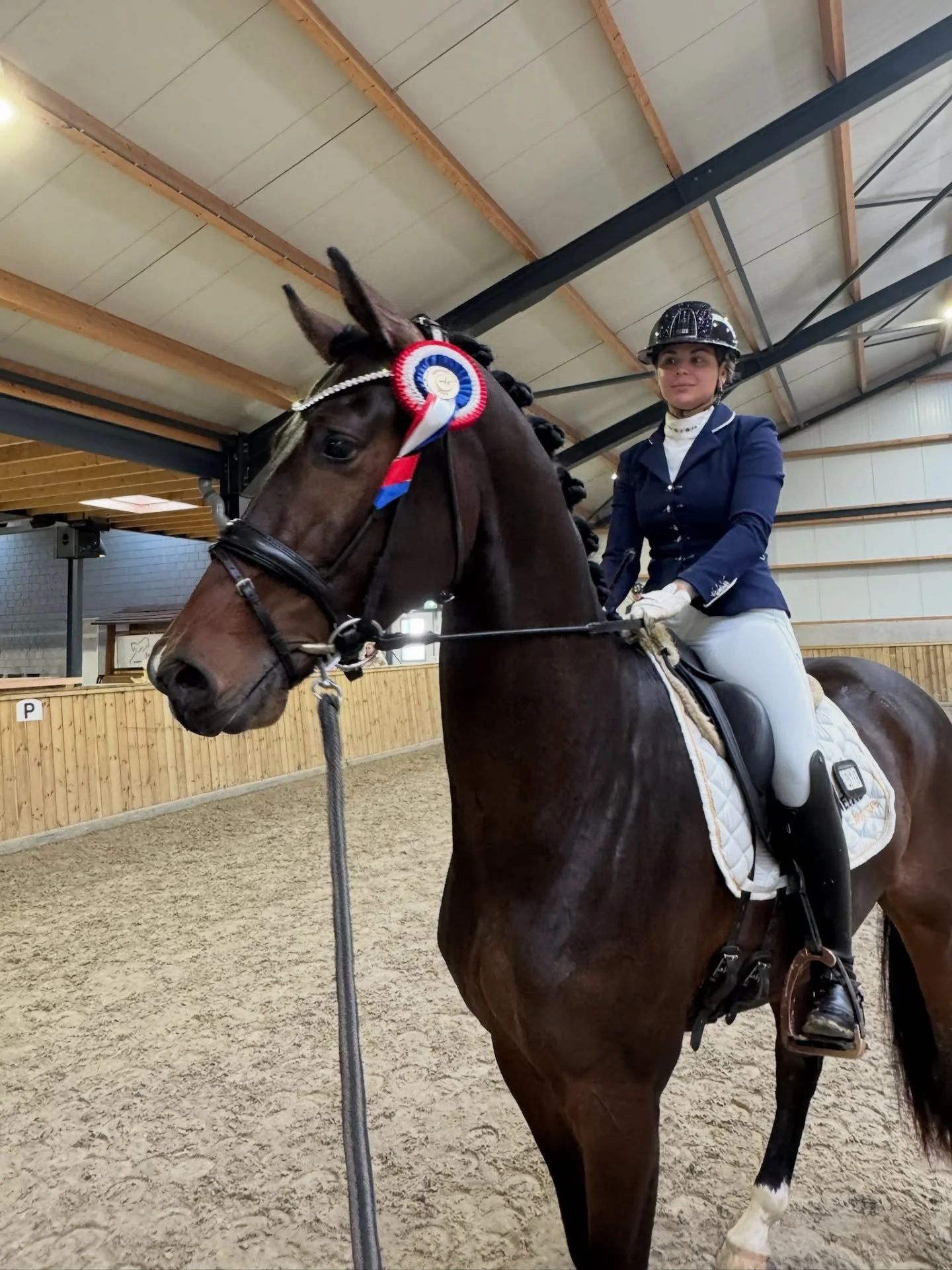 Gelderland Cup 2025! Scottdale liep een super verrichting met een score van 72%, Sandstorm was nog wat groen maar liep fantastisch naar 73%. En San Francisco deed er een schep bovenop met 84,9% liep hij fenomenaal naar de 3e plek! 🥉&hearts;️ 

Dankj