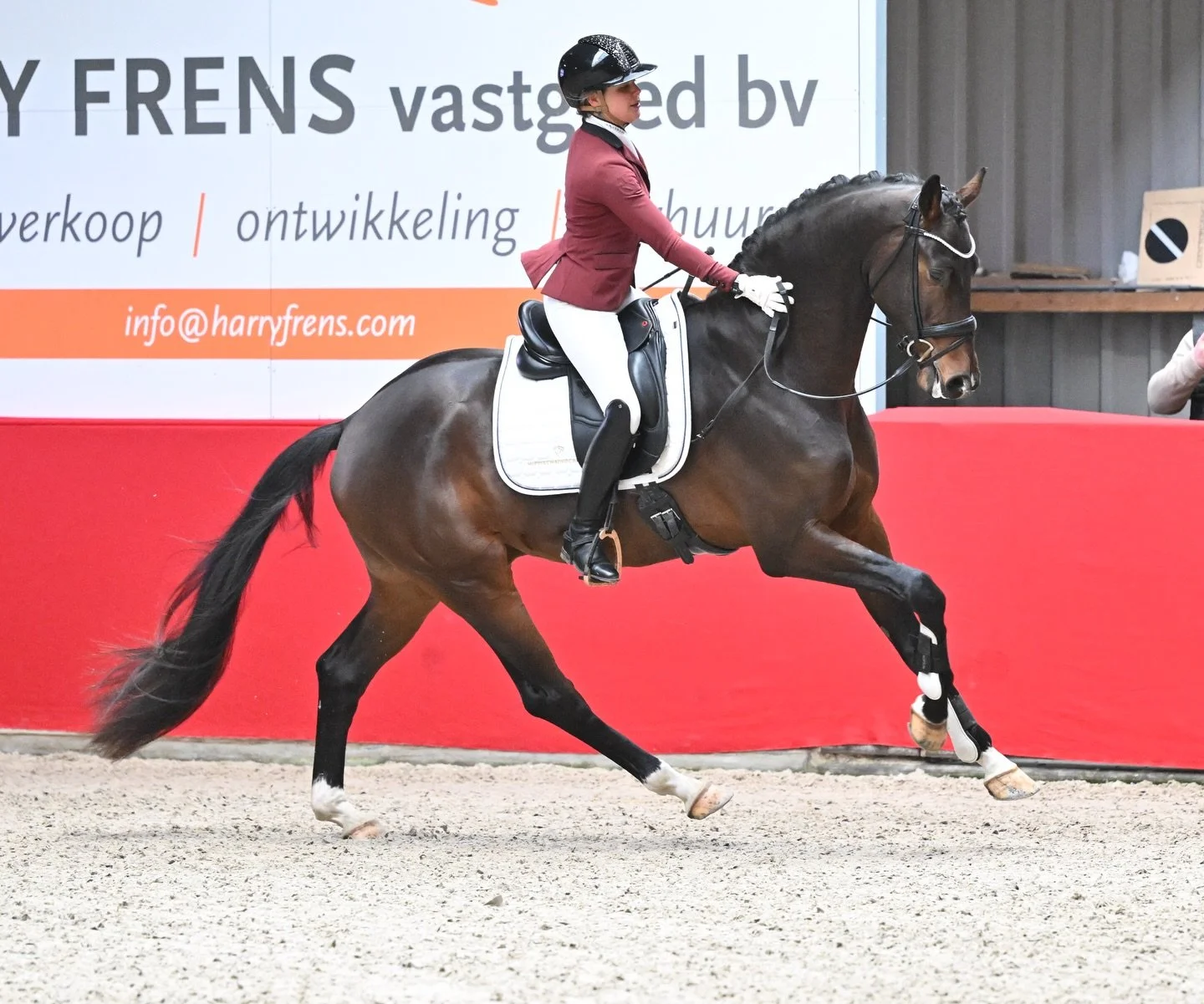Zo trots op mijn puppy hengst 🧨🤎 met 83,4% naar een 10e plek tijdens de VSN vandaag. Voor mij heeft hij gewonnen! 

📷: @wilmafrentz 
🌾: @heltiehorse @fourage.nl @florianhorsefood