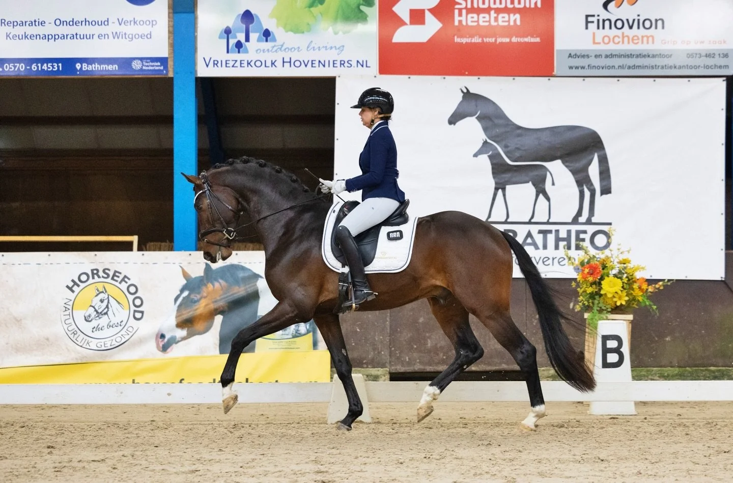 👑🤎 San Francisco 🤎👑 liep gister naar een fantastische 4e plaats op de Horsefood selectie en mag door naar de finale! 

Koning x ster sport d-oc v. Desperado x elite sport d-oc v. Sandreo 

Hengst, 2022, 1.72
Fokker: K. Versluis 
Eigenaar: Fonk Sp