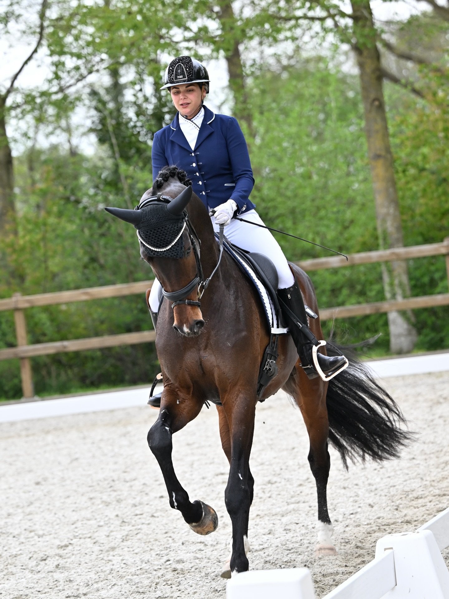 🤎👑 San Francisco 👑🤎

Loopt op zijn L2 debuut tijdens de selectie naar 63,2% ! Nog niet de score die we nodig hebben voor de regio maar ben zo zo trots op hem! En mega benieuwd naar de toekomst 🏆

Koning x Desperado,
Hengst, 2022, 172

AES Licens
