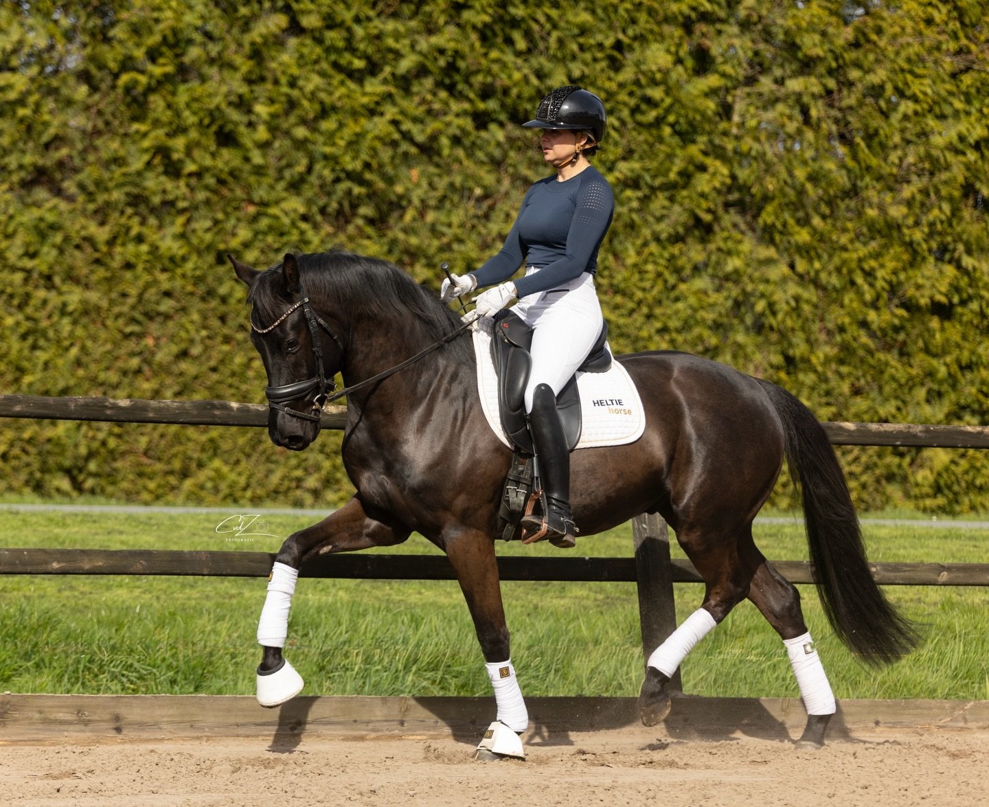 👑🖤 Sandstorm 🖤👑 loopt vandaar naar een tweede plaats en is daarmee L2 geklasseerd 🏆

McLaren x Jazz 
2022, gelding, 162
Good X-rays and great character
📷: @cvdzfotografie