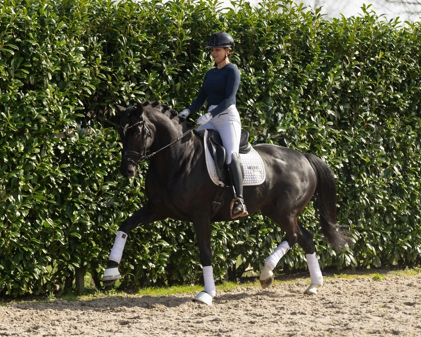 👑🖤 Saybia 🖤👑

Bloomberg x Tuschinski 
2022, mare, 168
Good X-rays and good mindset