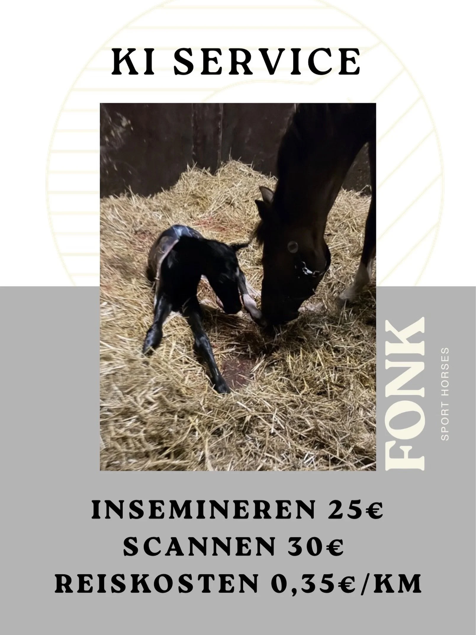 🧬 KI Service - Fonk Sporthorses 🧬
