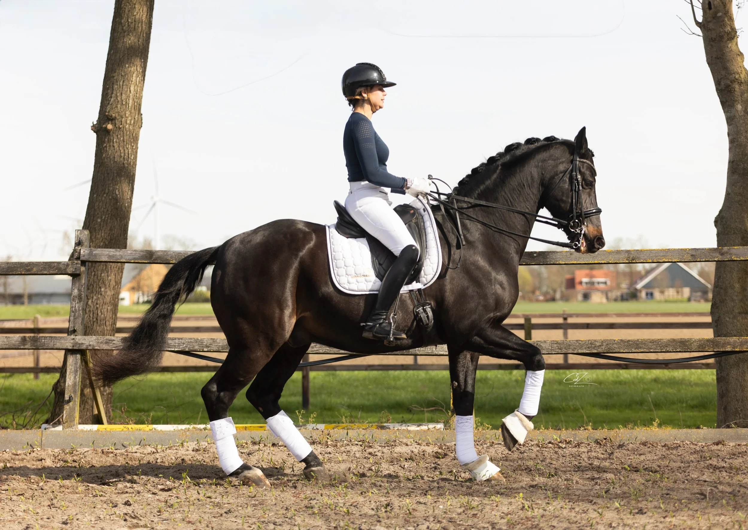 Super lieve schoolmaster v Sandreo! 

Zou een fantastisch children/junioren paard zijn. Braaf, ongecompliceerd, ZZL geklasseerd en PSG in training. 

Ruin, 2008, 168

📷: @cvdzfotografie