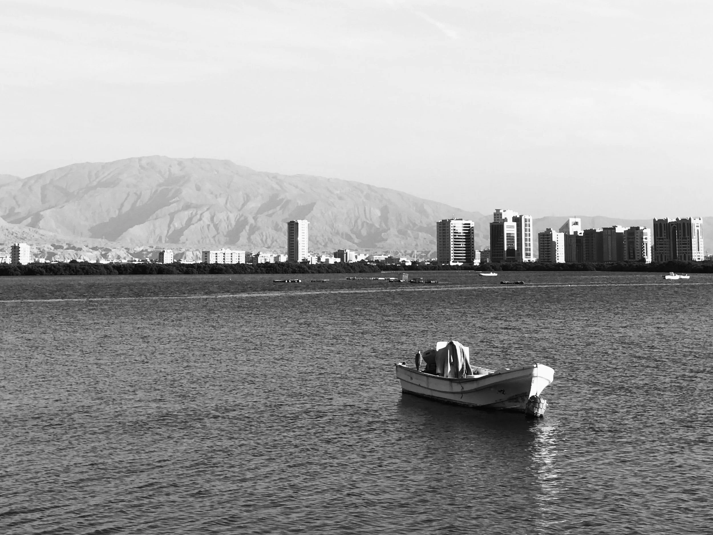 Towards Complex Economies: a Gulf socio-economic profile