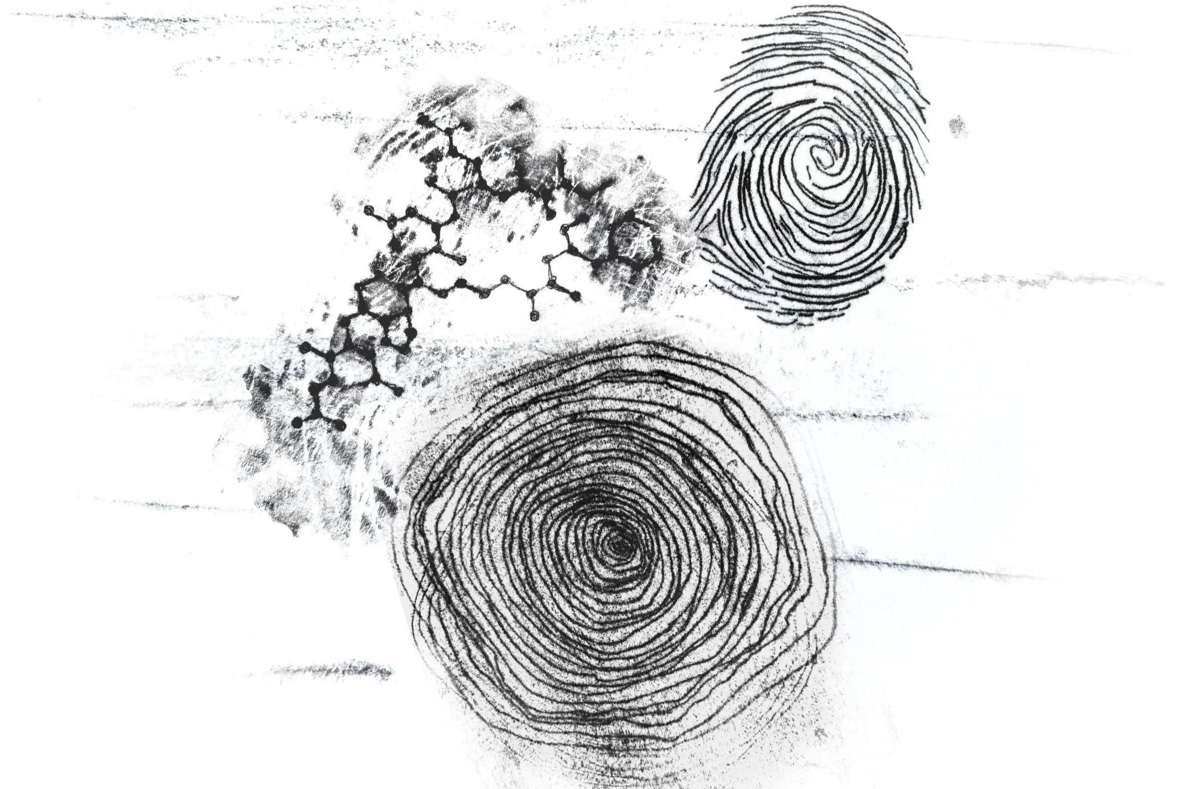 Untitled_Artwork%2B2.jpg