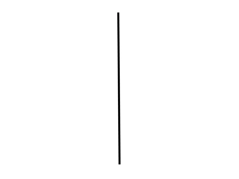 line divider.jpg