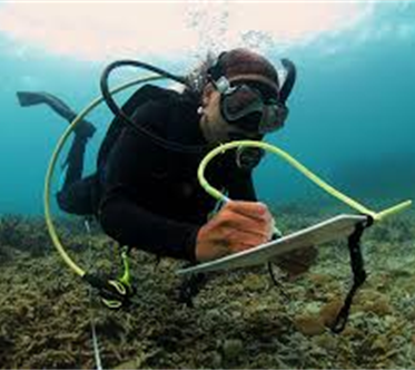 Underwater image of a scientist or researcher in scuba gear using a writing or drawing tablet with a stylus.