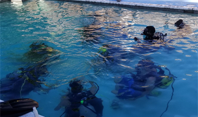 People swimming and practicing submerged rescue techniques in a swimming pool.