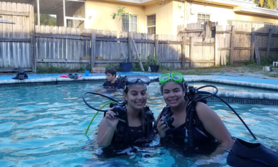 Gallery | Discover & Support Marine Conservation — Ocean Rescue ...