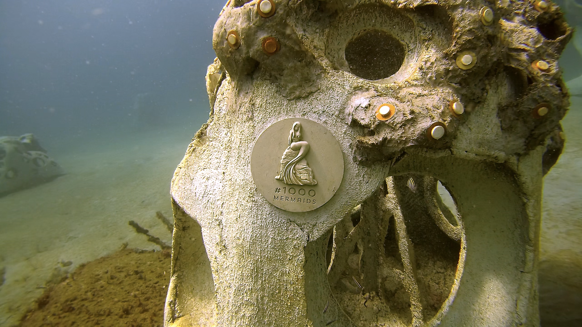 Underwater scene featuring a concrete skull with barnacles and an oyster shell, adorned with a $1,000 mermaids coin.