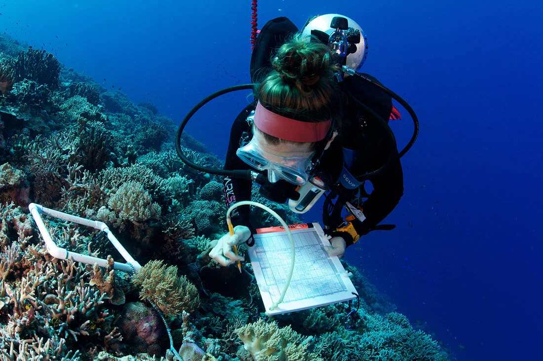 A scuba diver, wearing a mask and wetsuit, underwater, recording data on a clipboard near colorful coral reef.