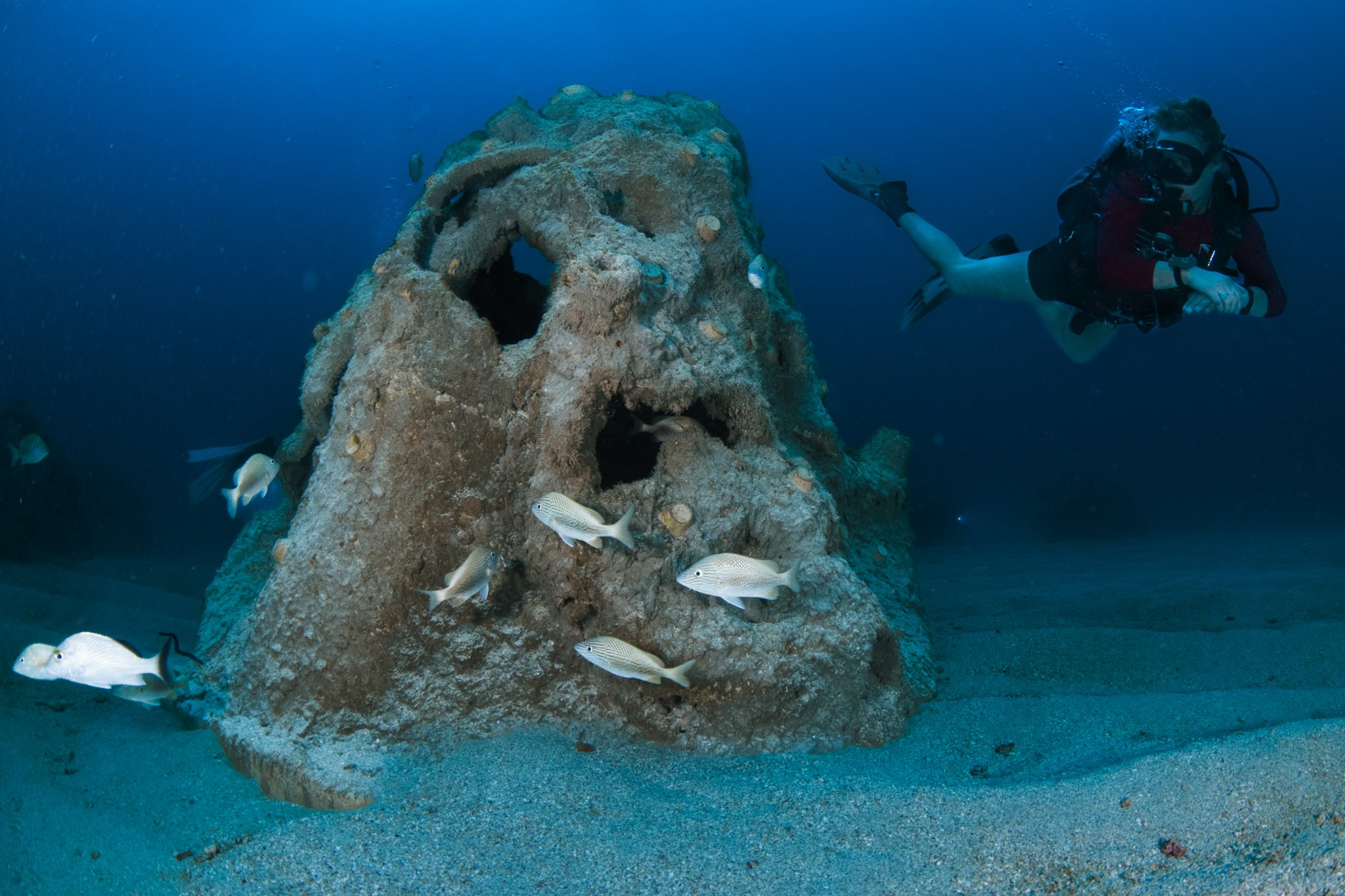 A scuba diver swimming near a large, coral-covered skull-shaped structure on the ocean floor, with small fish swimming around.
