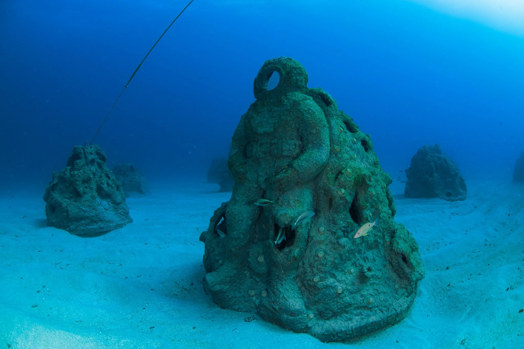 Underwater scene with large coral formation, smaller coral rocks, and several fish swimming near sandy ocean floor.