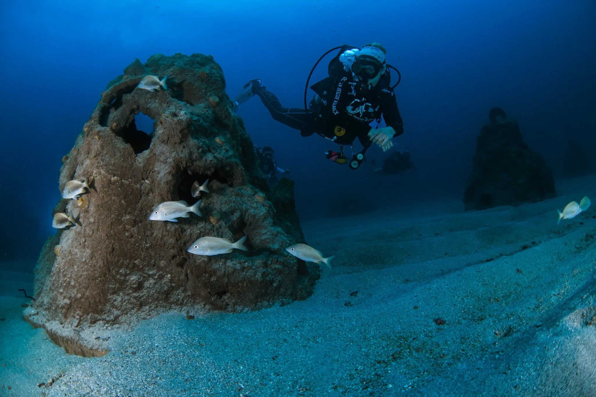 A scuba diver swimming near a large, hollow coral formation with several fish swimming around it underwater.