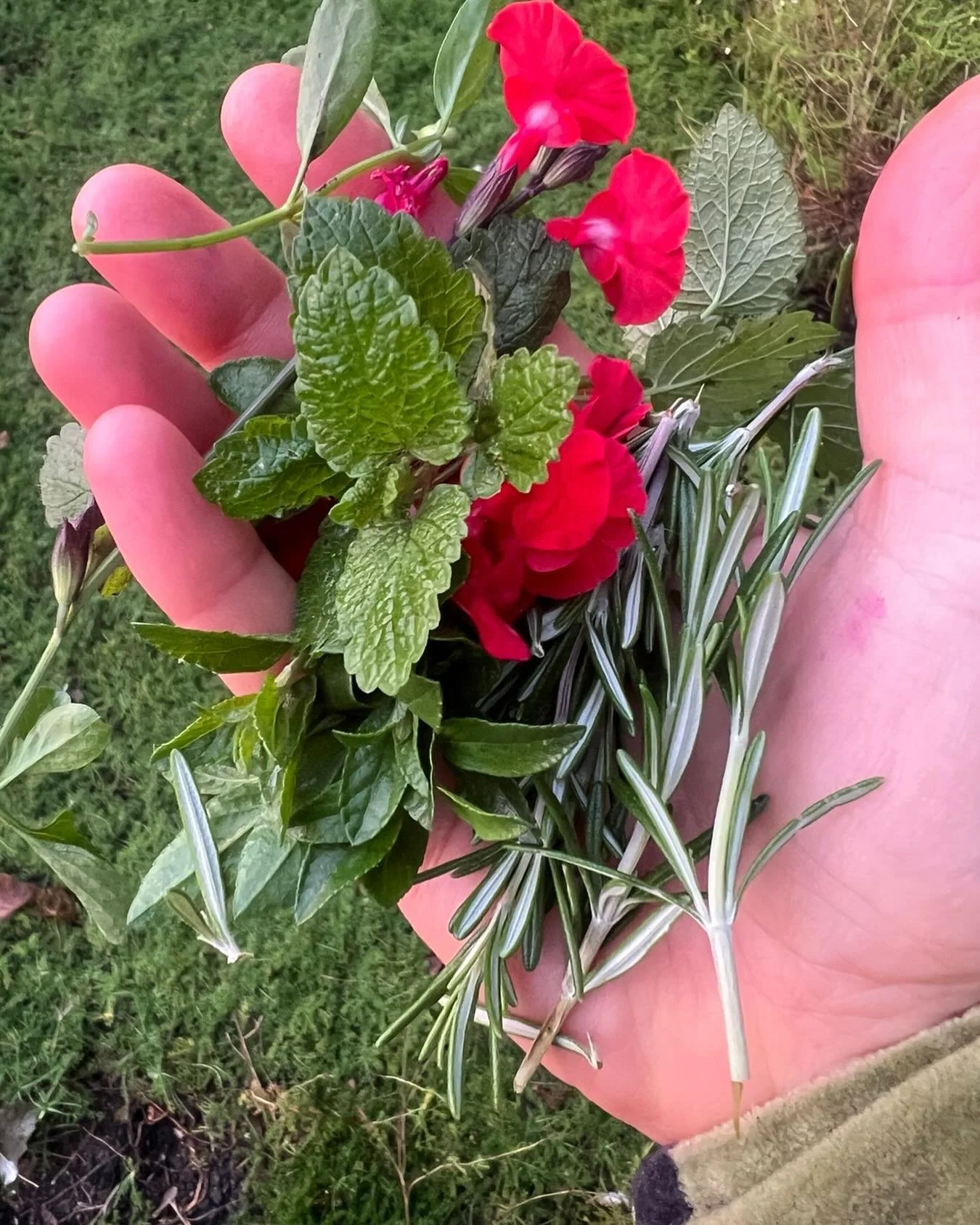 Morning ritual share, herb picking for my tea! Rosemary,sage and the flowers, lemon balm. I&rsquo;m adding elderberry juice for good measure. A gorgeous way to start the day especially when waking up with a sore throat!! My bop and Breathe will be a 