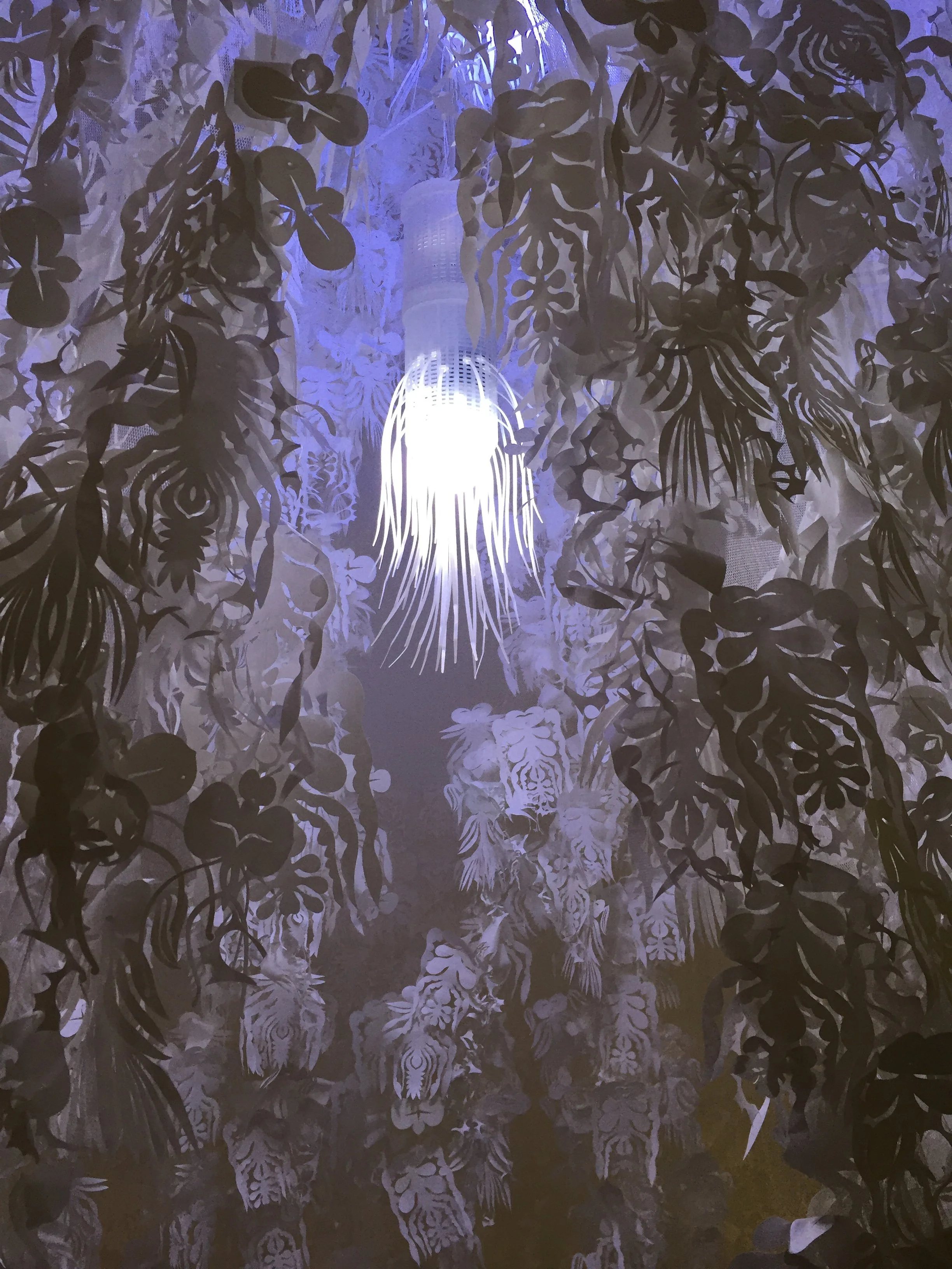 Doilies and Ice (Dollies).jpeg