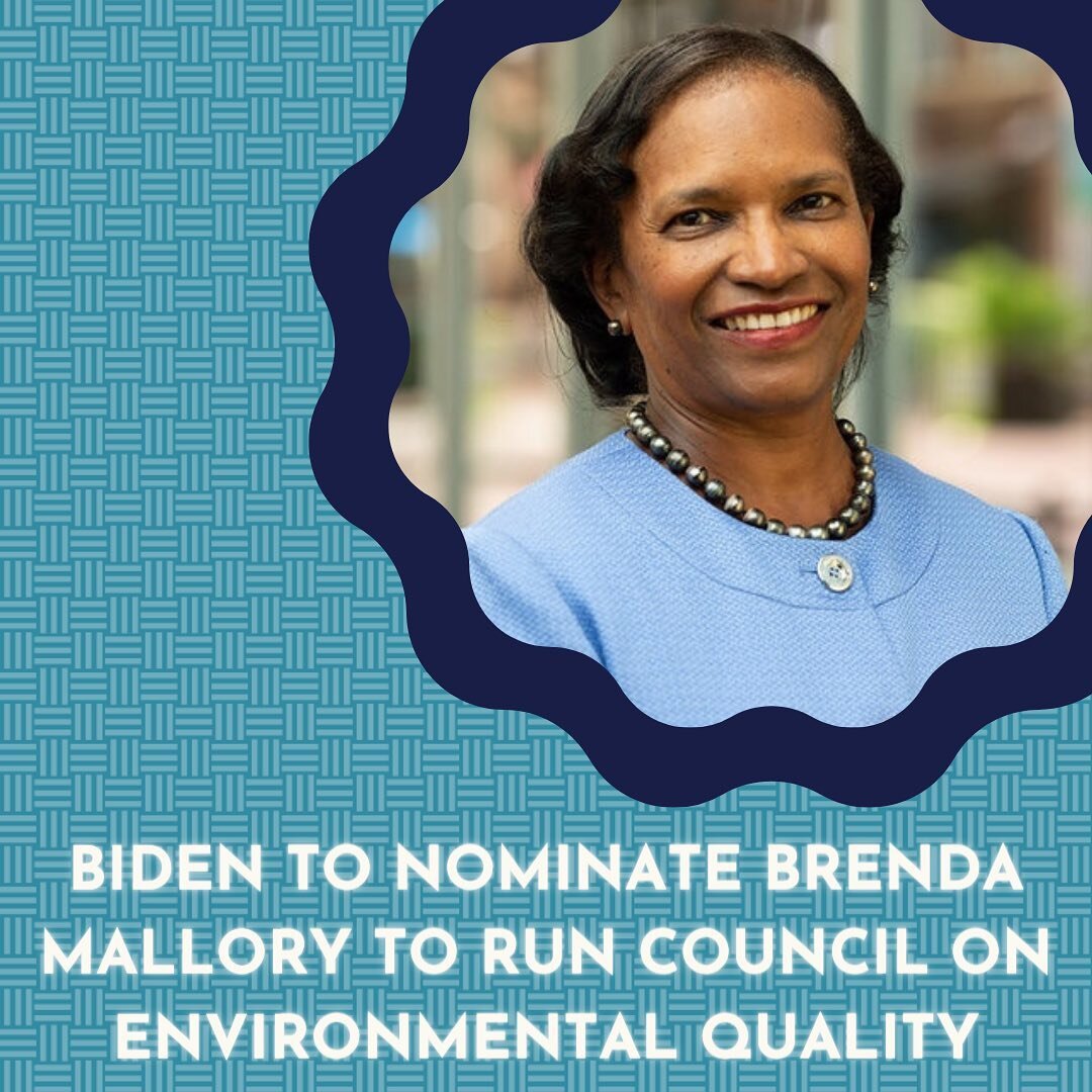 Chairperson, Council on Environmental Quality; Brenda Mallory. 

#blacklivesmatter #blm #bidenadministration #theblkboardcollective #brendamallory