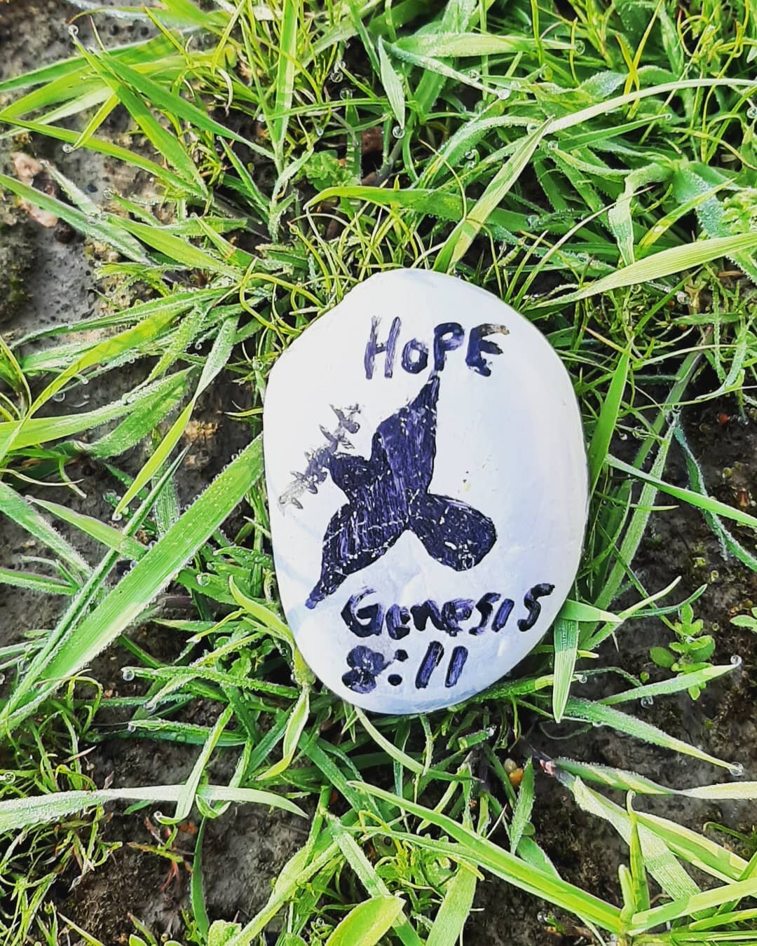 JESUS, MY ROCK OF HOPE ~
Lying in the grass under the blossoming spring tree was this painted rock. The word HOPE spelled out, a dove with an olive branch from it's beak and the verse Genesis 8:11.

I plucked it up, smiled, thanked God and put it in 