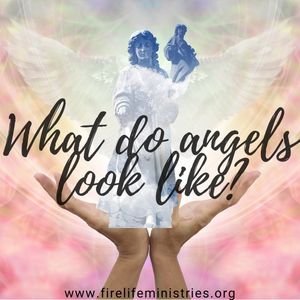 What do angels look like?
