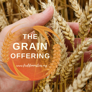 The Grain Offering