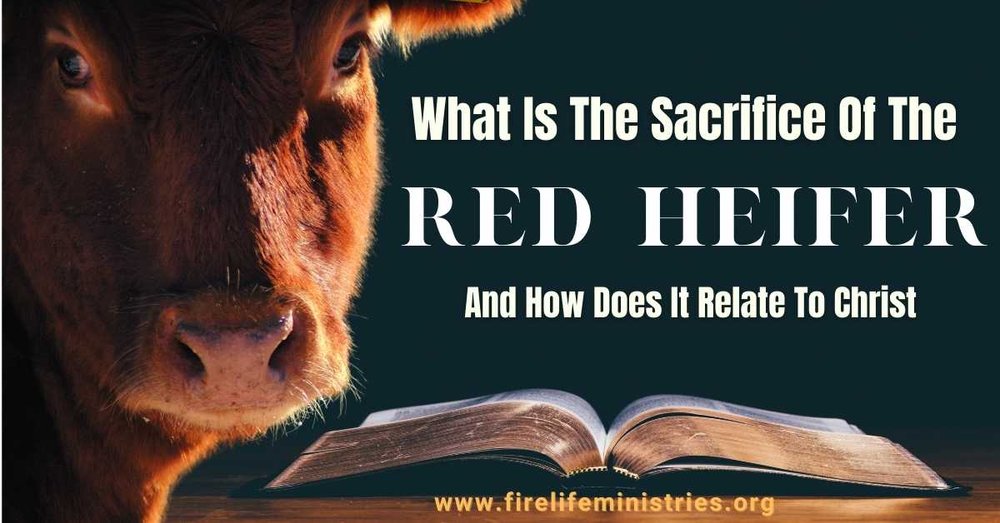 What Is The Sacrifice Of The Red And How Does It Relate To — To Have A Relationship With God
