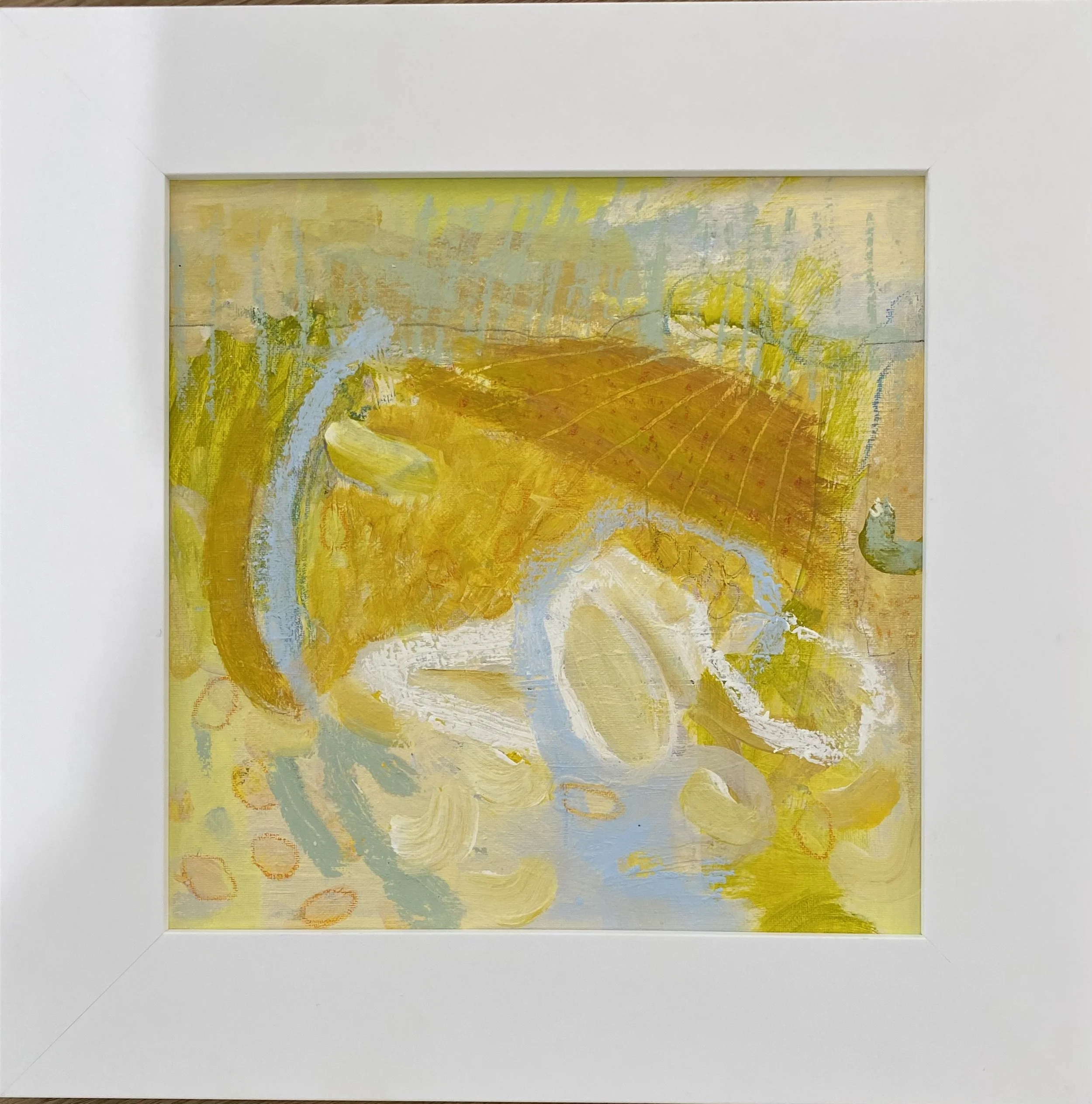 "Pumpkin Field", 17"x17" framed in white