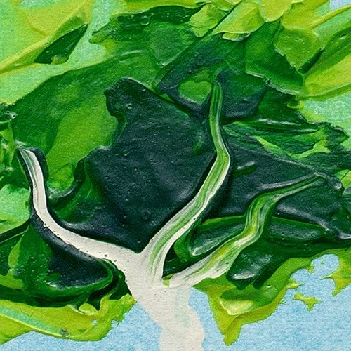 SWOP 17 - Detail.jpg