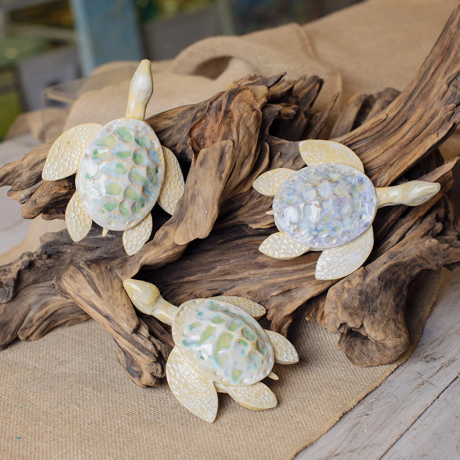 Sea Turtle of Wisdom