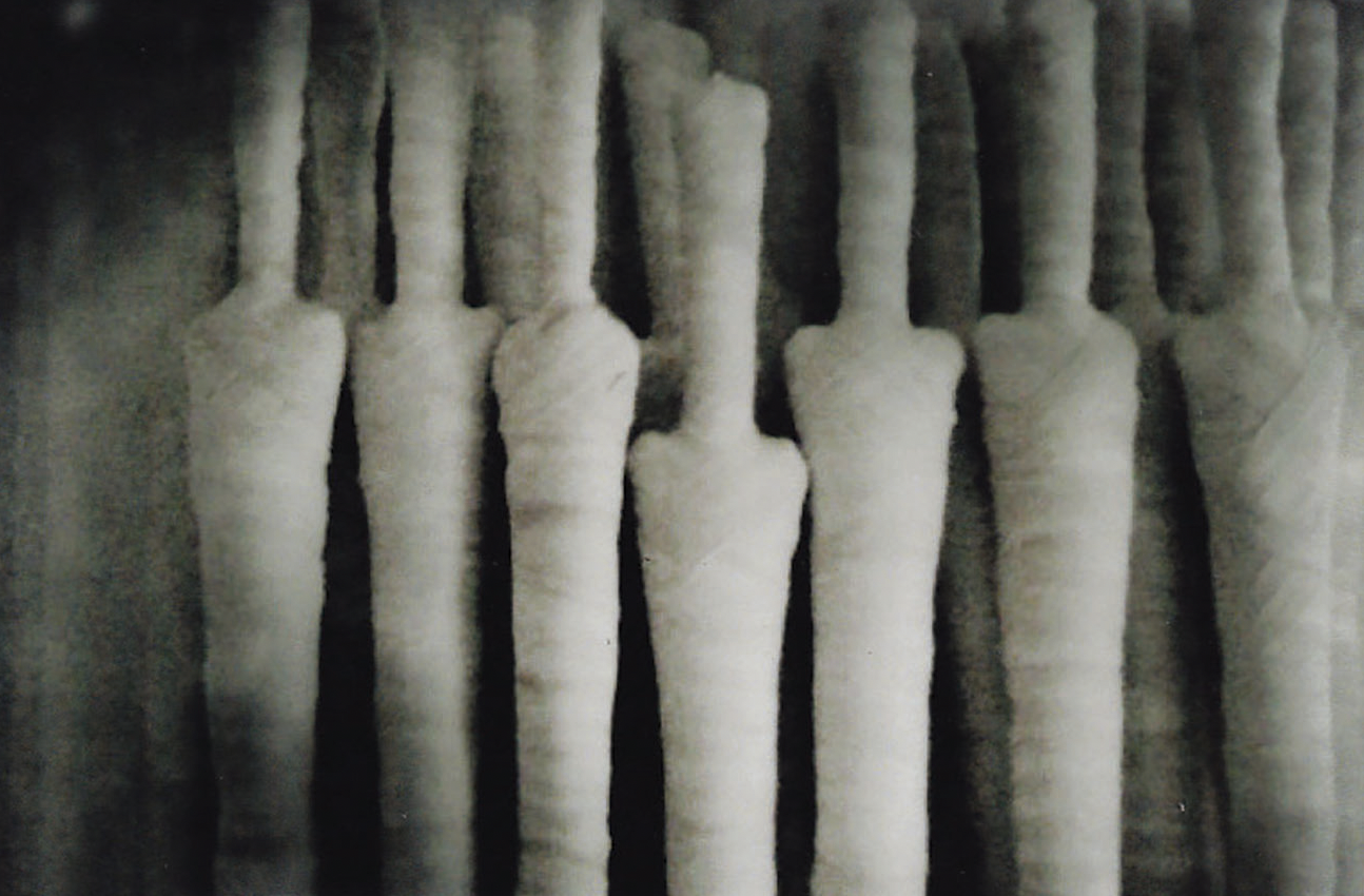 Mummy Forest Music Complete