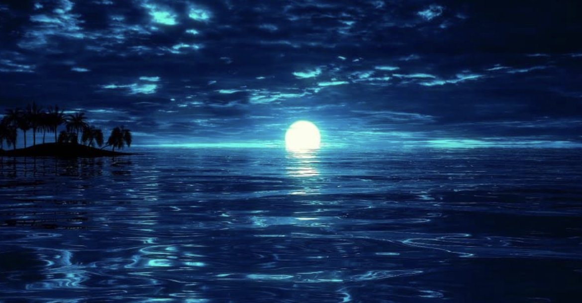 "Euphoria with Repercussions" on Night Tides 