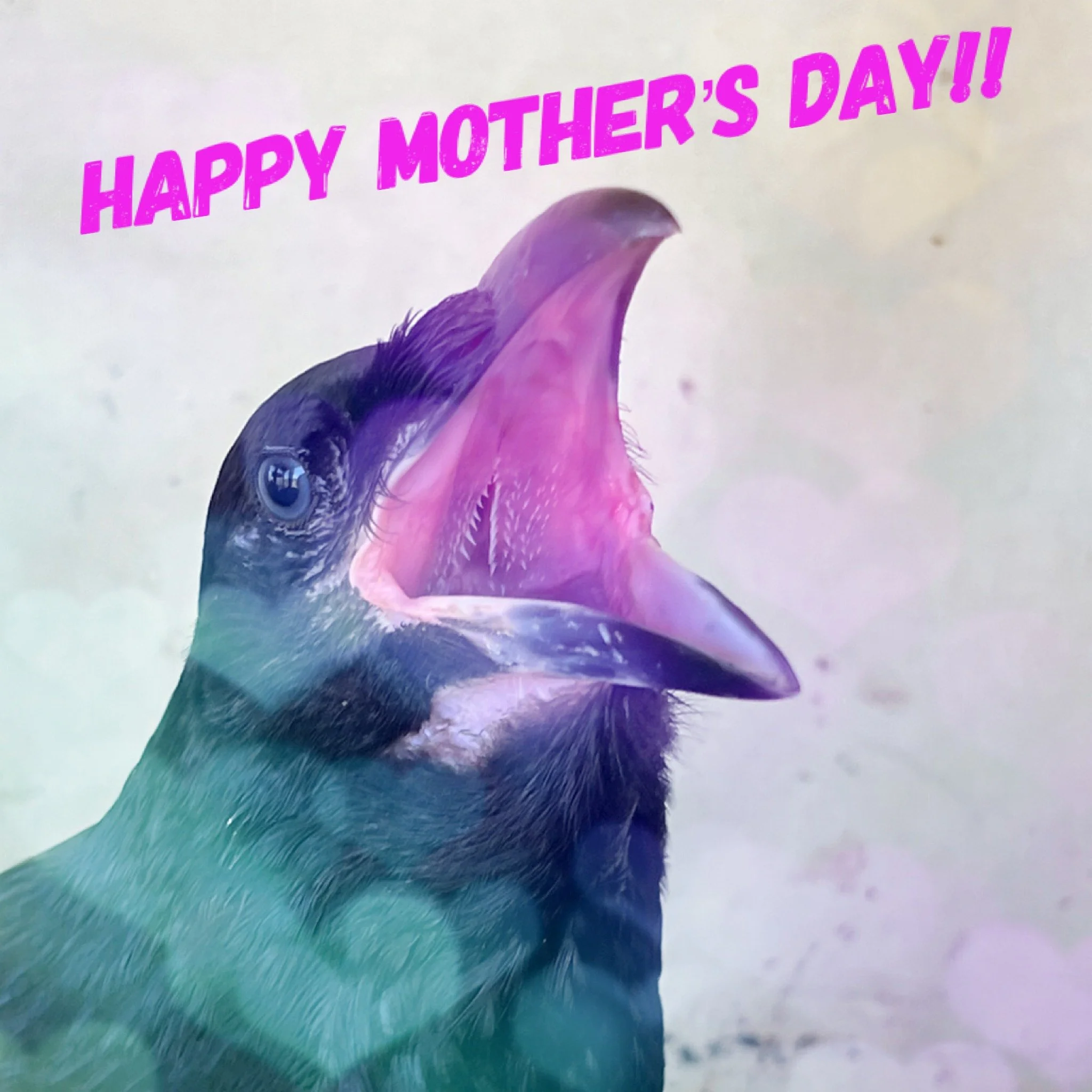 Happy Mother's Day to all who have taken on the role and a big virtual hug to everyone who has a difficult time on Mother's Day. 💜💜💜