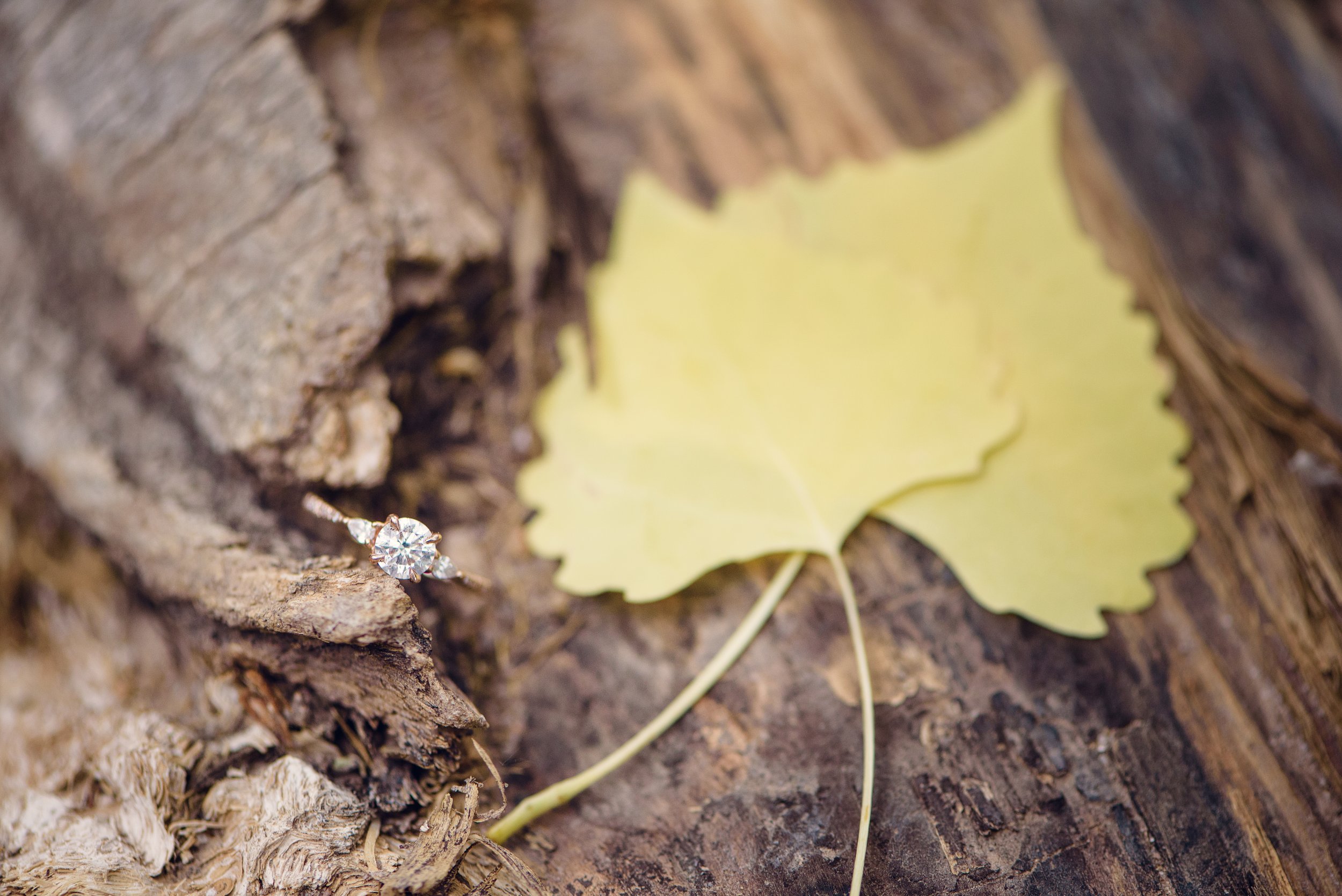BethWaldronStudios_KandB_engagement-55.jpg
