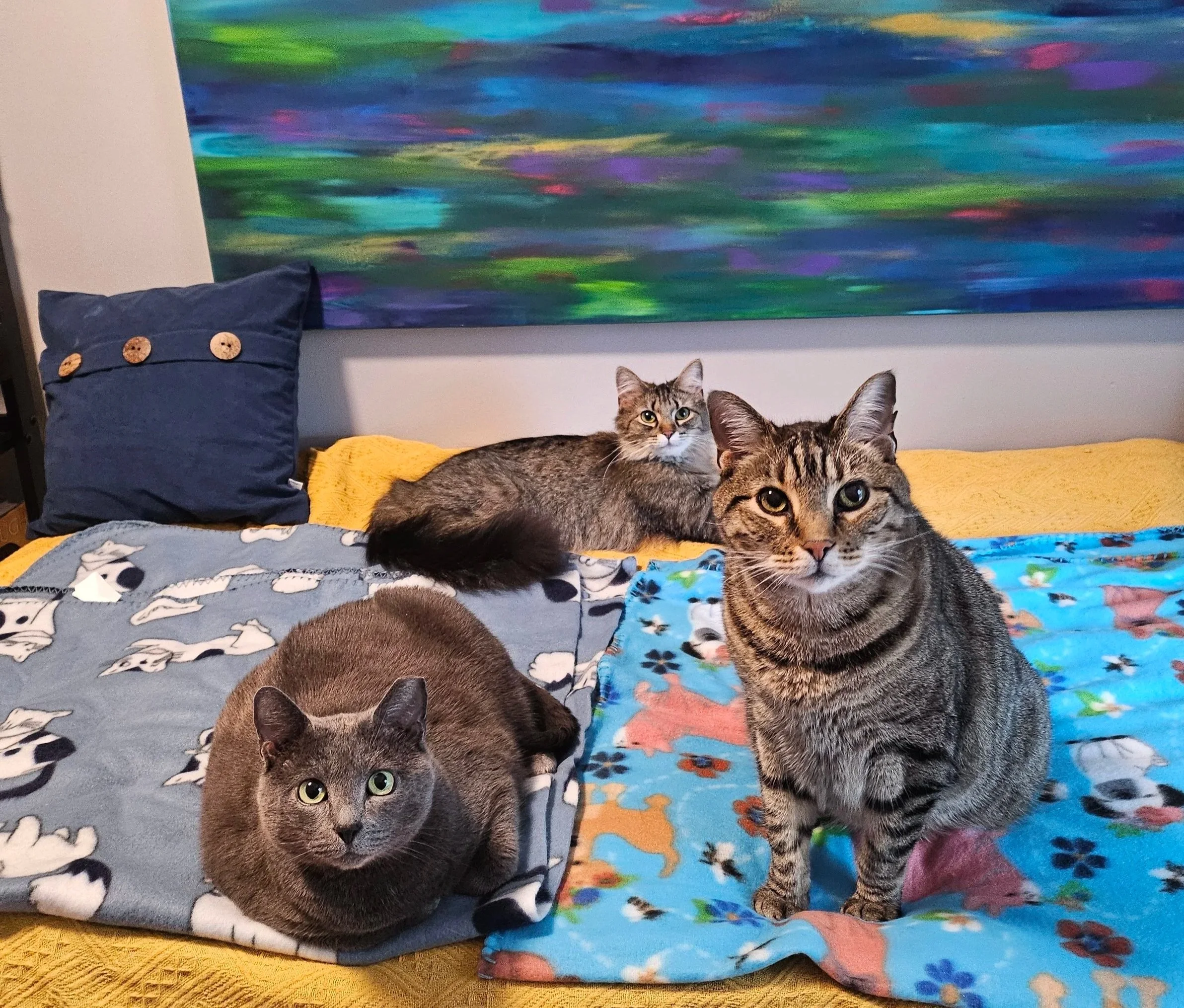 Three cats on a bed with blue and floral blankets, a yellow blanket, a blue pillow with buttons, and a colorful abstract painting in the background.
