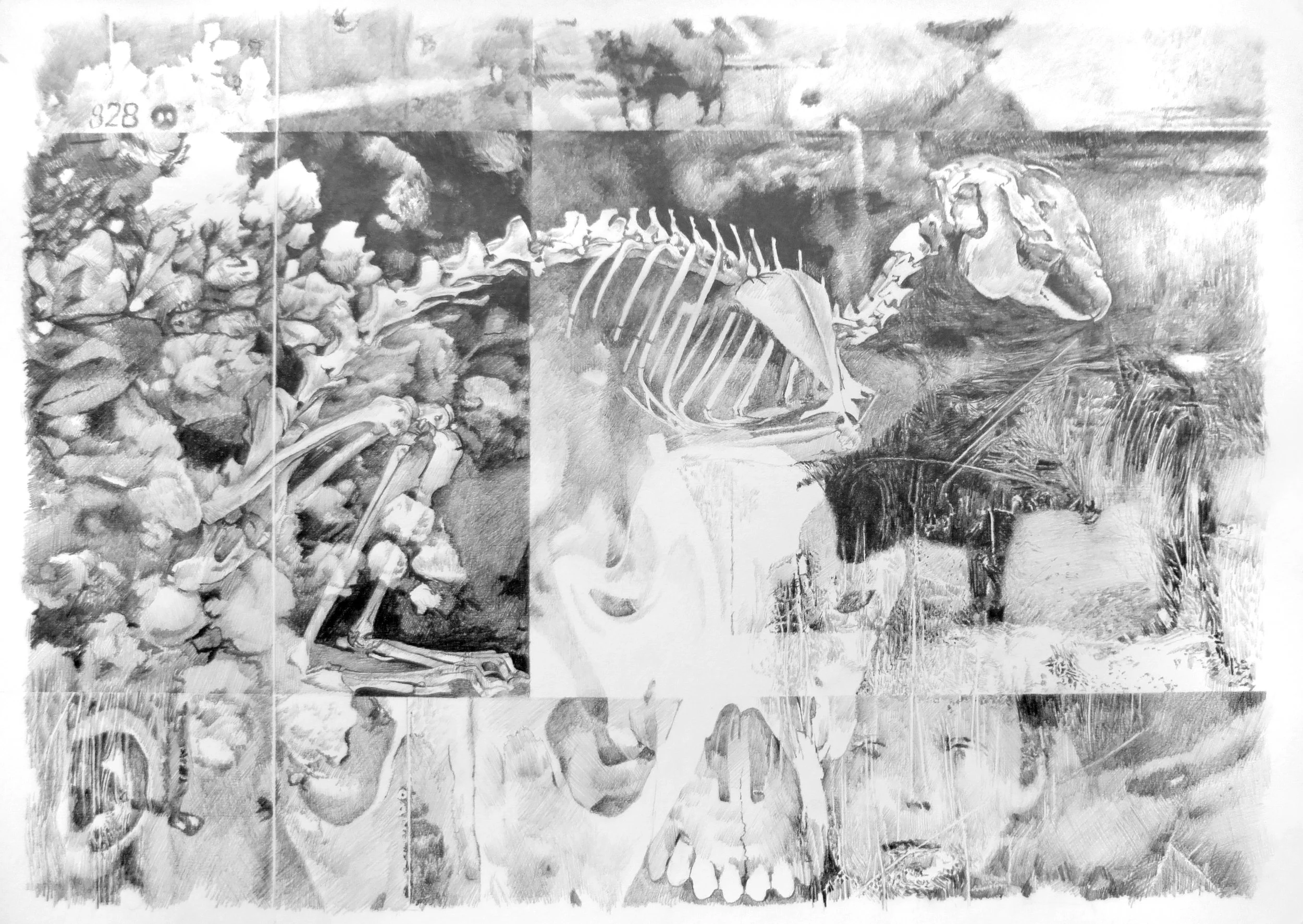 By Way of Dispossession II