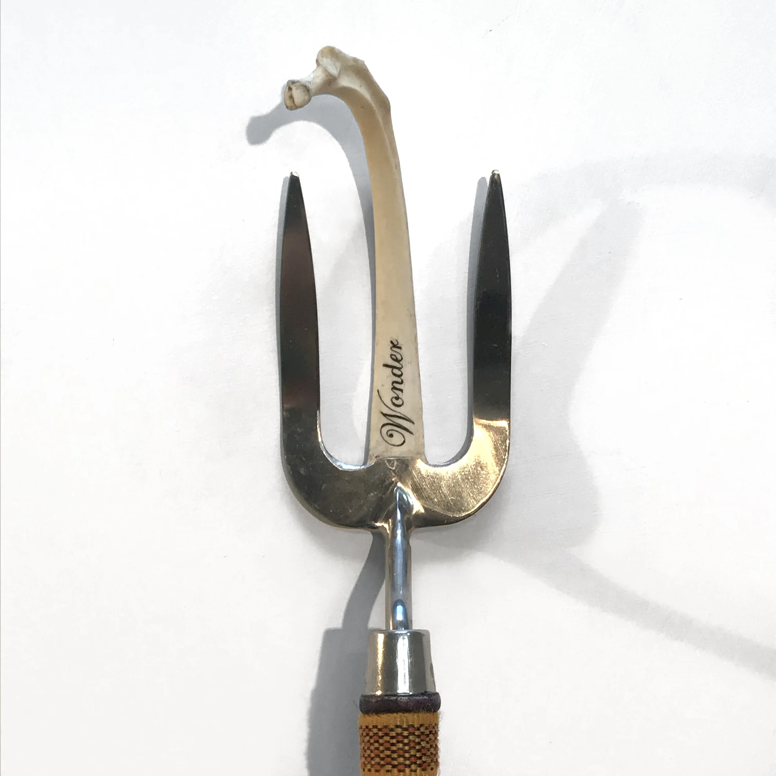wonderfork01.jpg