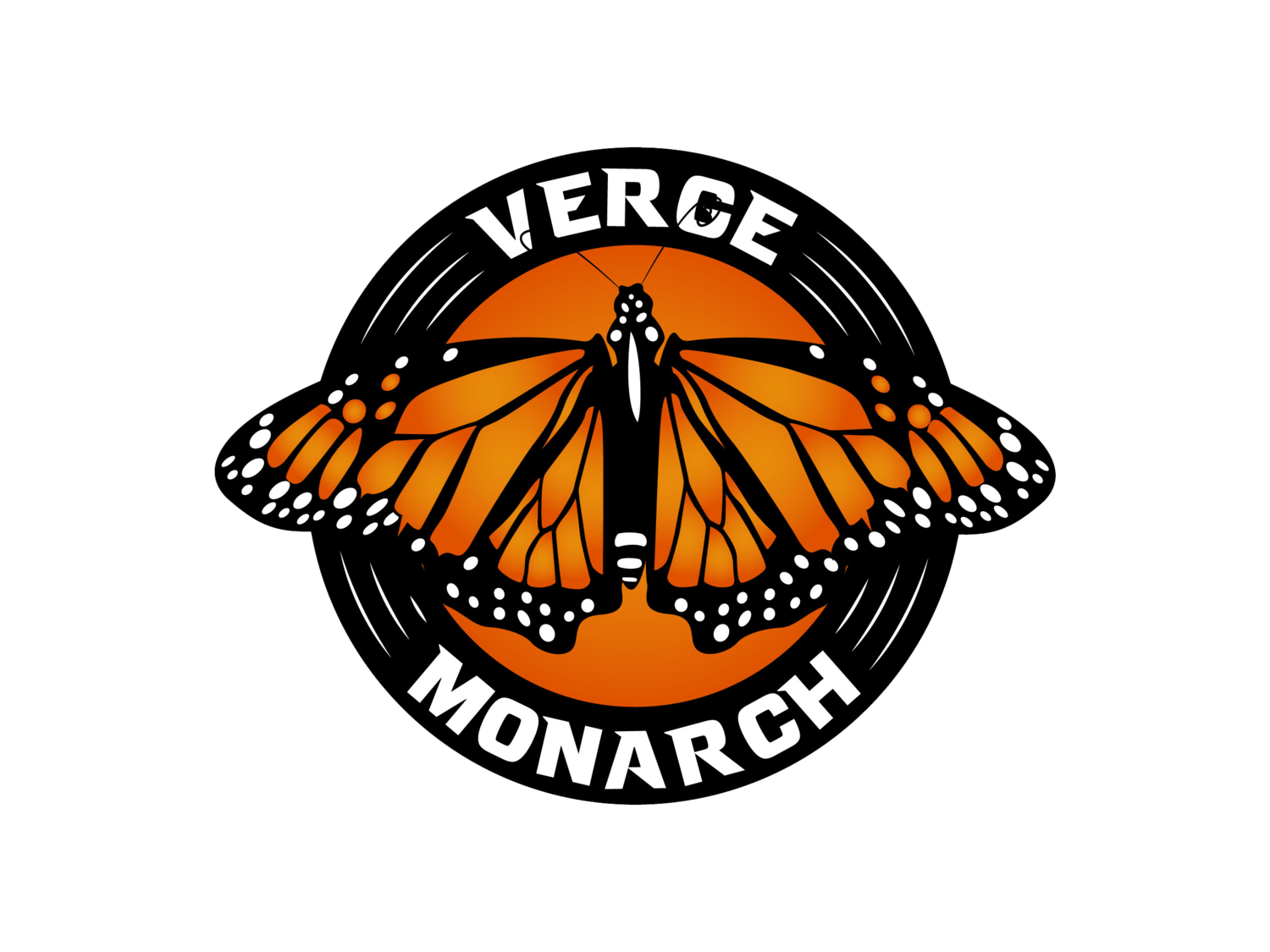  Verge Monarch