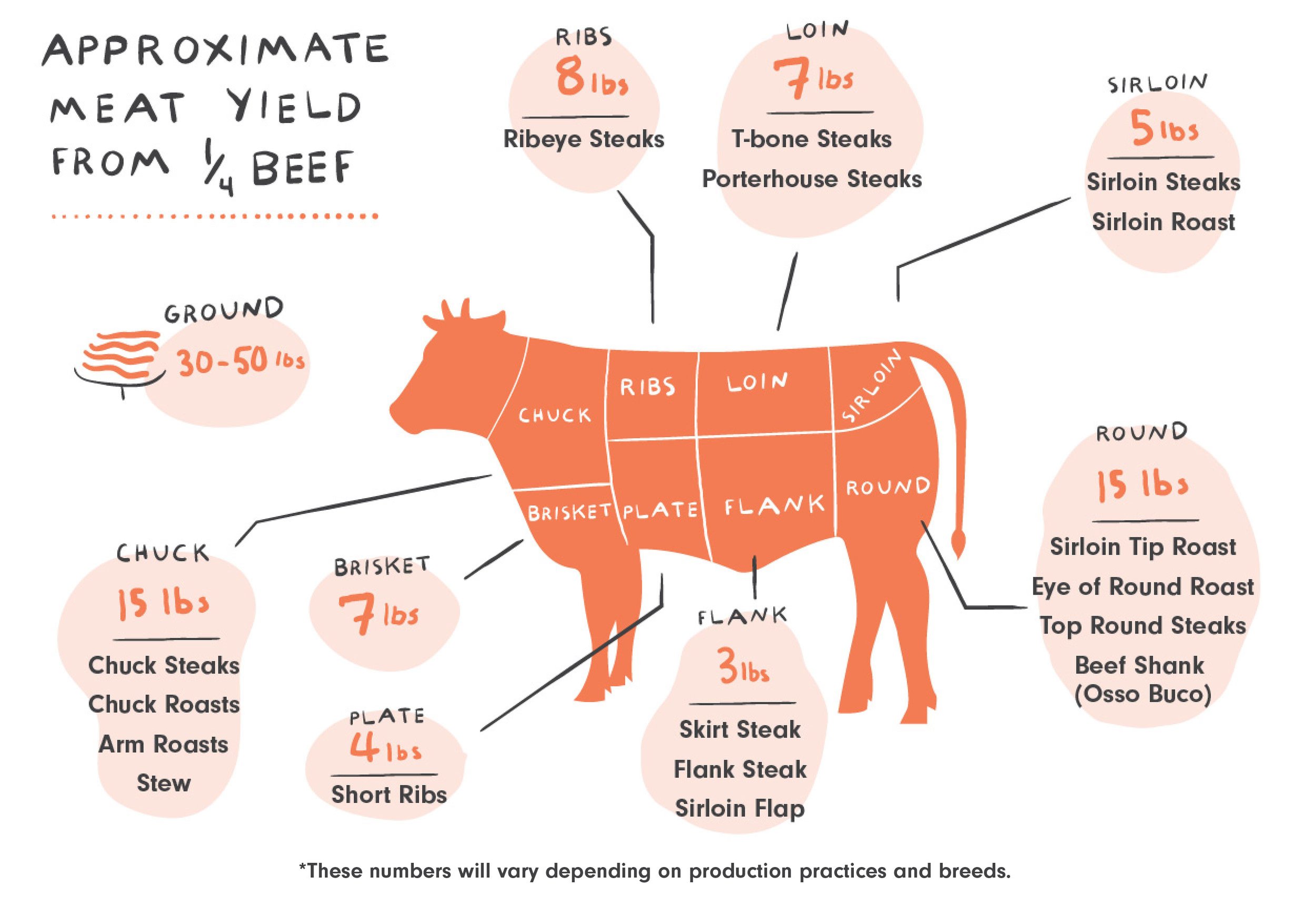 Cuts of Beef and How to Cook Them — Good Meat Breakdown