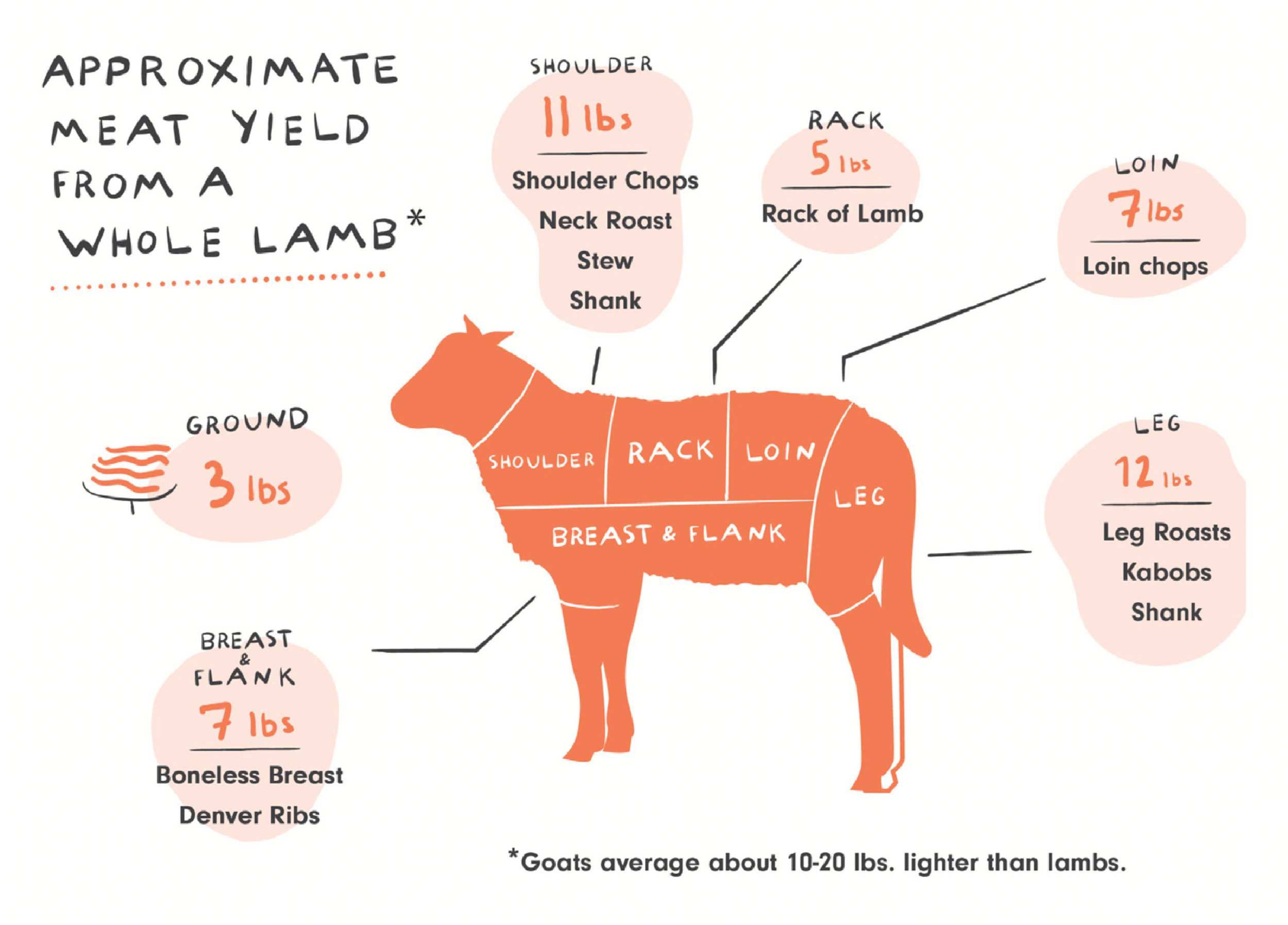 Cuts of Lamb and How to Cook Them — Good Meat Breakdown