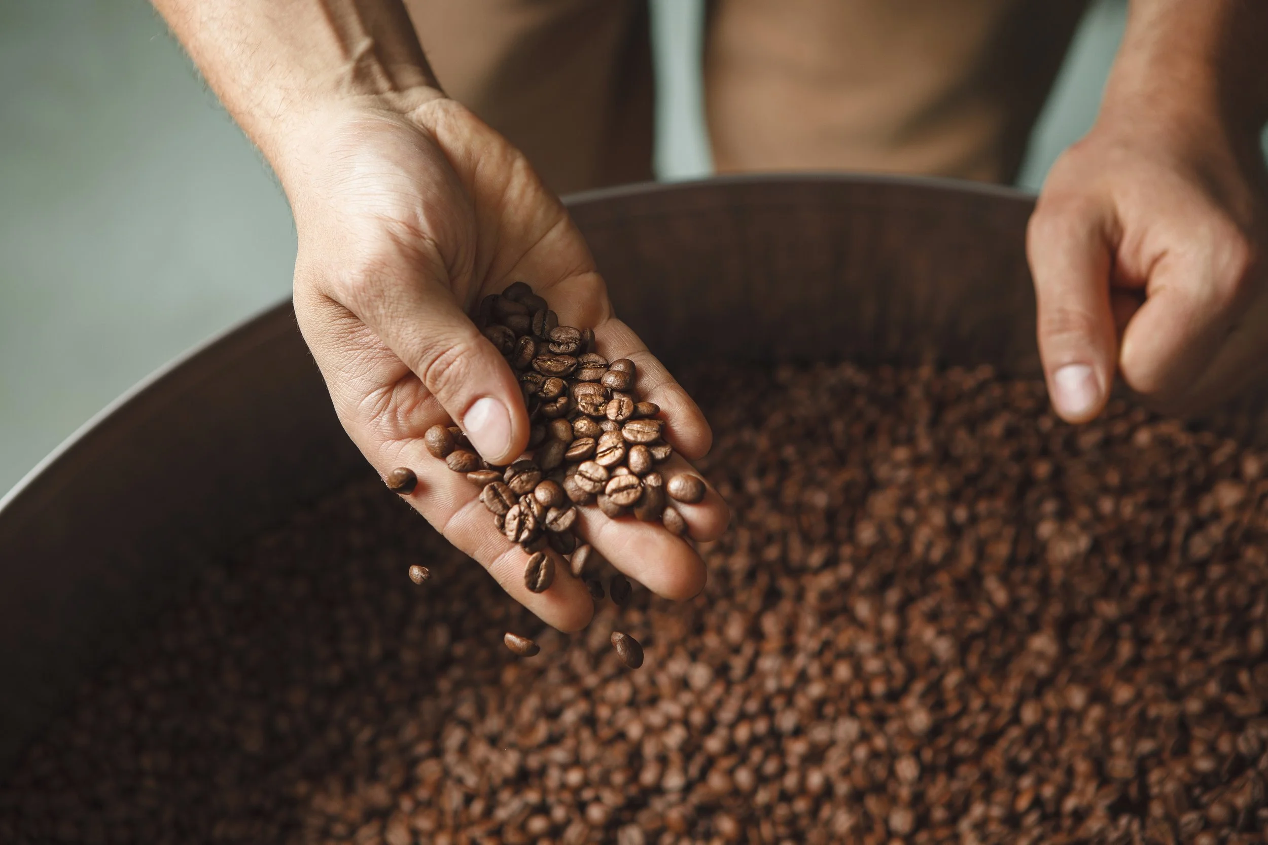 Impact of Early Detection of Sour Coffee Beans
