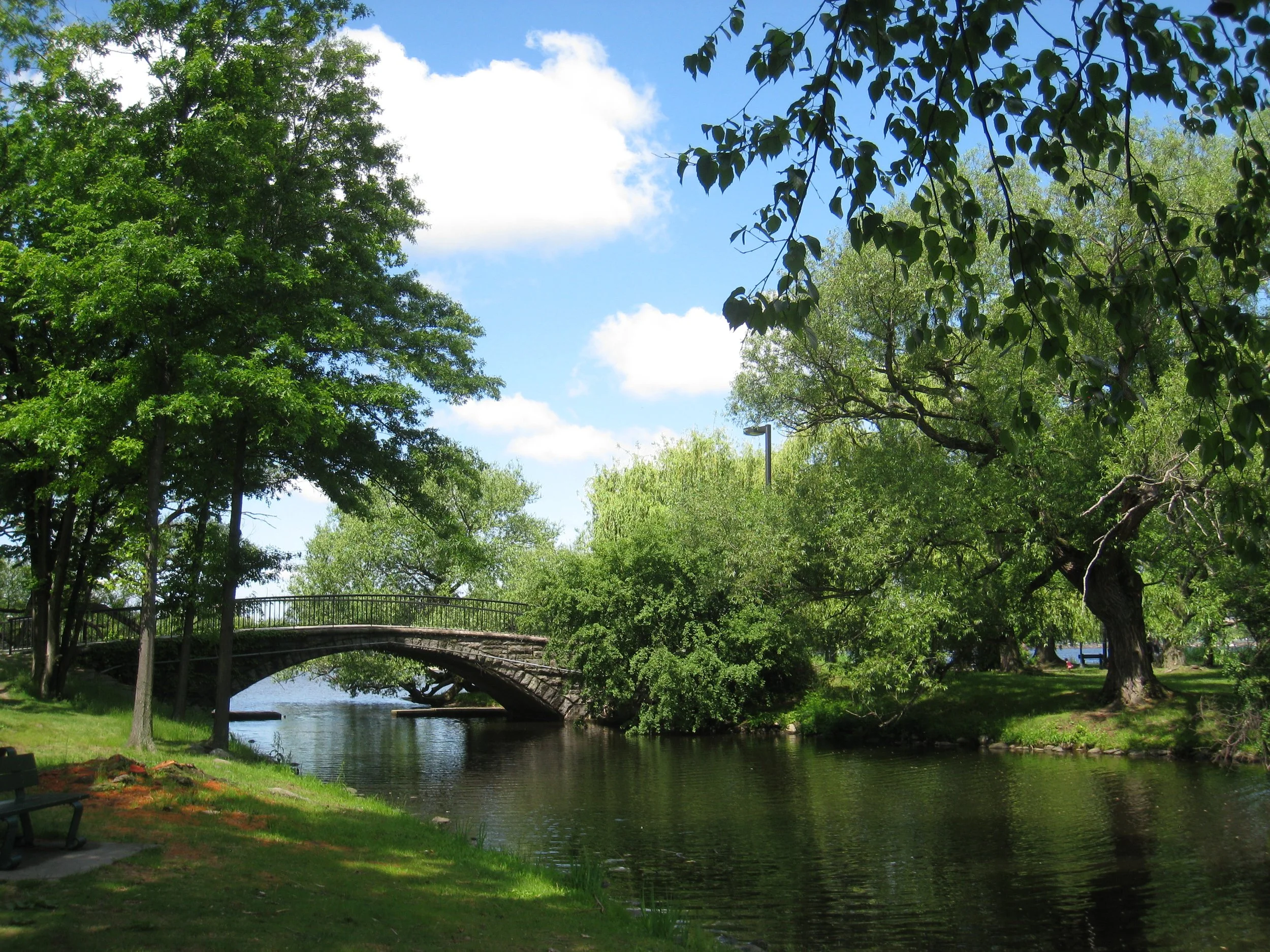 Camp Yale in Boston