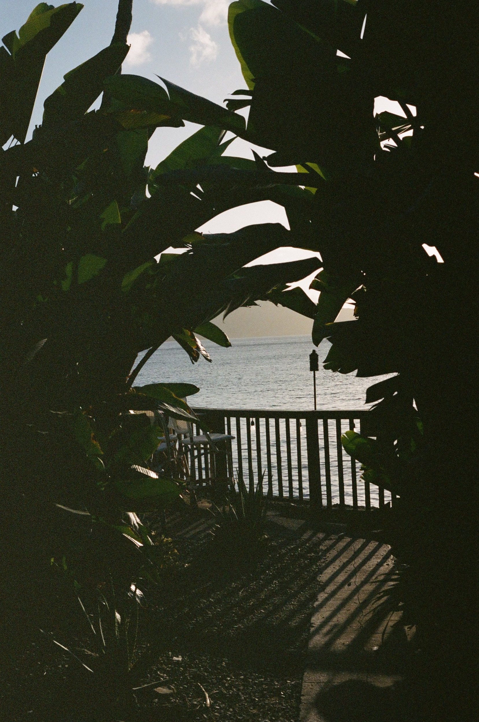 St Croix Babymoon On Film - The Waves at Cane Bay