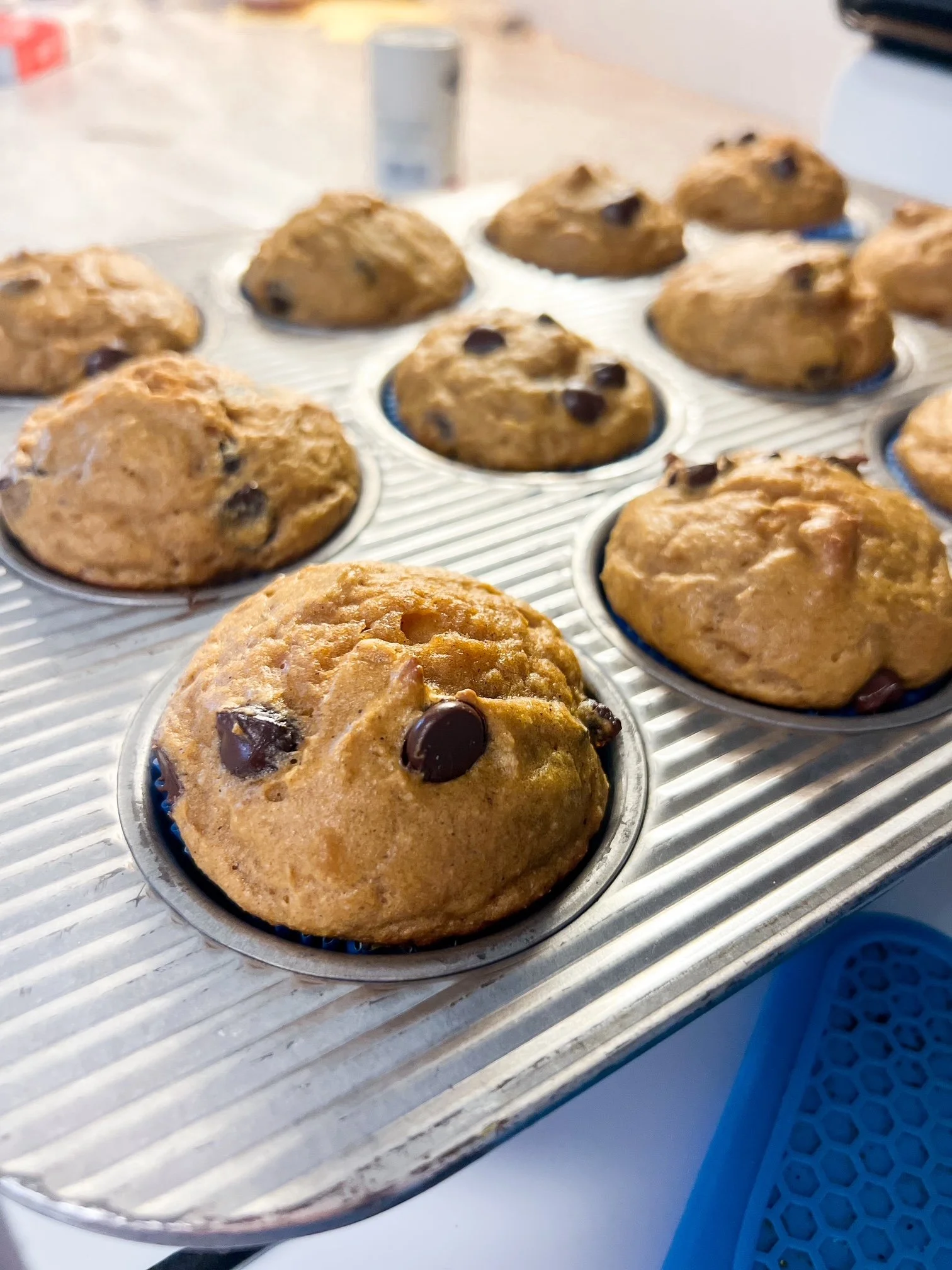 Higher-Protein Almond Flour Pumpkin Muffins—Gluten-free • Dairy-free • Grain-free