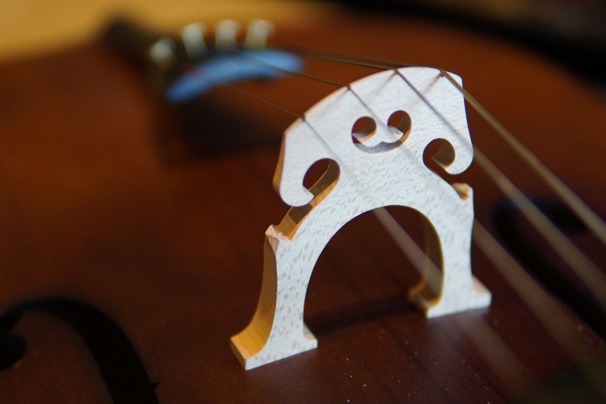 Student Cello Review: $269 Eastar EVC-1 (Amazon's Choice Student Cello Review: $269 Eastar EVC-1 (Amazon's Choice