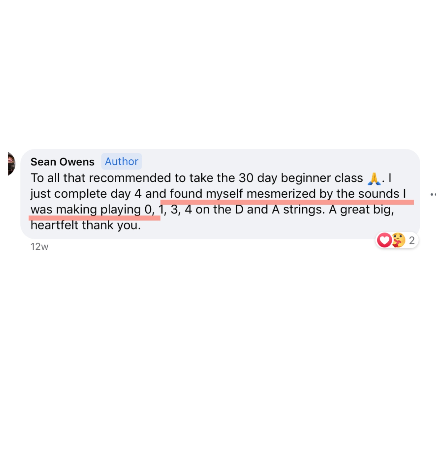 Screenshot of a Facebook comment from Sean Owens, an author, praising a beginner class, mentioning day 4, and describing the sounds he was making playing notes on guitar strings.