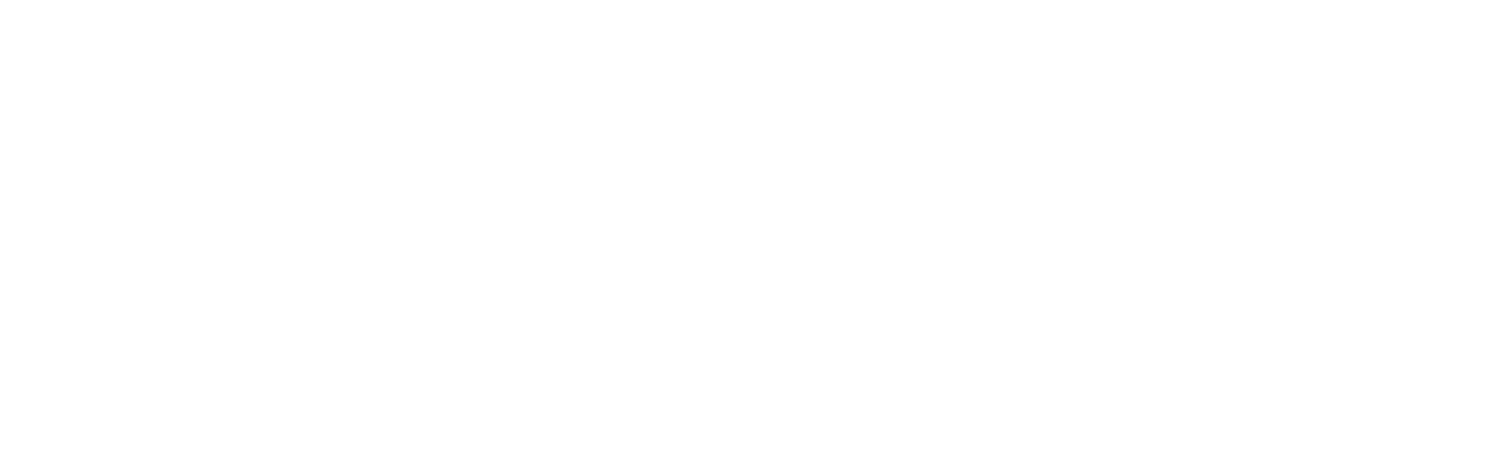 Chicago Literary Writers