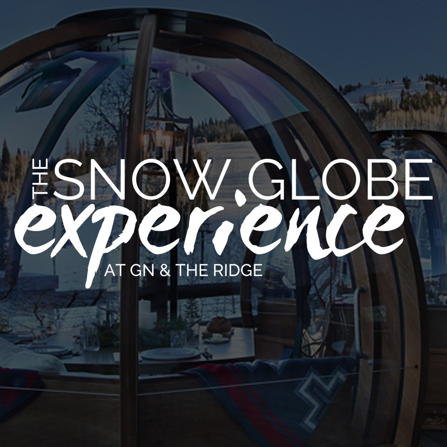 Snow Globes.jpg